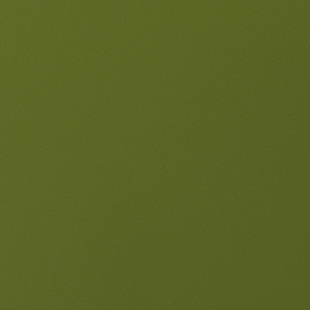 SiO Silicone Envision Kiwi 16 Upholstery Fabric