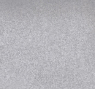 Olympus Lt Gray OLY165ADF Contract Automotive and Marine Upholstery Fabric