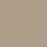 Sample of Mayer Apollo Silicone Latte SAP-027 Upholstery Fabric