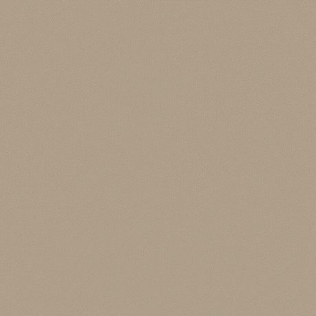 Sample of Mayer Apollo Silicone Latte SAP-027 Upholstery Fabric