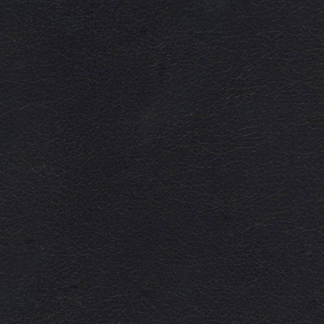 Sample of Softside Navigator 9905 BlackBeard Automotive / Marine Upholstery Fabric