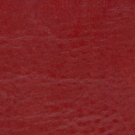 Sample of Softside Seabreeze Reel Red 863 Upholstery Fabric