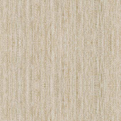 Sample of Dickson Linen 8904 North American Collection 47-Inch Awning / Shade Fabric