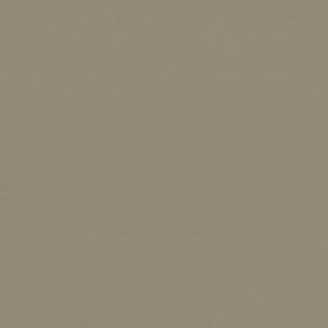 Sample of Spirit 403 Putty Contract Automotive and Marine Upholstery Fabric