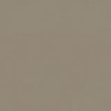 Spirit 403 Putty Contract Automotive and Marine Upholstery Fabric