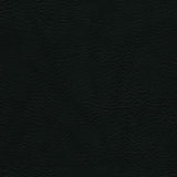Sample of Burkshire 43 Black Contract Automotive and Marine Upholstery Fabric