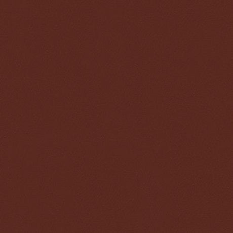 Spirit 370 Paprika Contract Automotive and Marine Upholstery Fabric