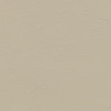 Sample of Softside Zander 3108 Parchment Automotive / Marine Upholstery Fabric
