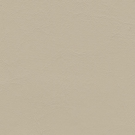 Sample of Softside Zander 3108 Parchment Automotive / Marine Upholstery Fabric