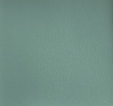 Olympus Spa OLY370ADF Contract Automotive and Marine Upholstery Fabric