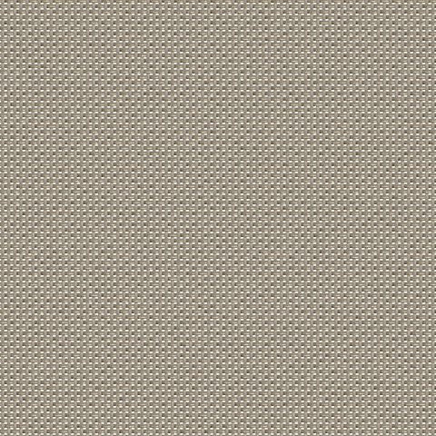 Sample of Serge Ferrari Batyline Duo Leather 7300-50872 Sling Fabric