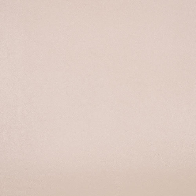 Nassimi Seaquest Lotion PSQ-014ADF Marine Upholstery Fabric