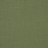 Sunbrella Bliss Aloe 48135-0017 Perspectives Collection Upholstery Fabric