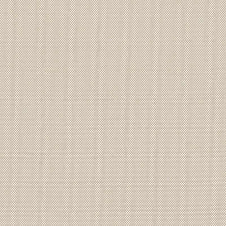 Sunbrella Natte Canvas NAT 10021 140 European Collection Upholstery Fabric