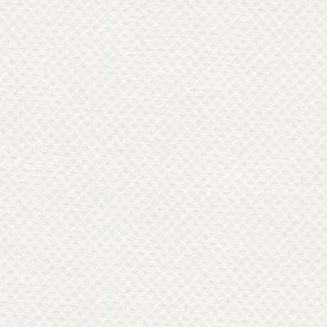 AbbeyShea Apollo 6 White Tarp Fabric