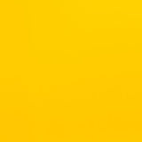 Serge Ferrari Soltis Proof 502 Dijon V2-50671C Awning / Shade Fabric