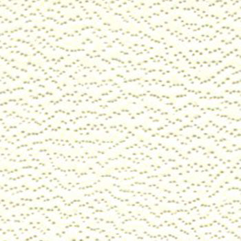 Weblon Coastline Plus Ivory Coast CP-2739 Awning Fabric