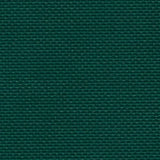 Sample of AbbeyShea Apollo 2009 Forest Green Tarp Fabric