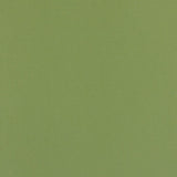 Sample of Weblon Coastline Plus Sea Palm CP-2702 Awning Fabric