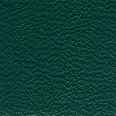 Sample of Weblon Vanguard Glade Green 2911 Awning Fabric