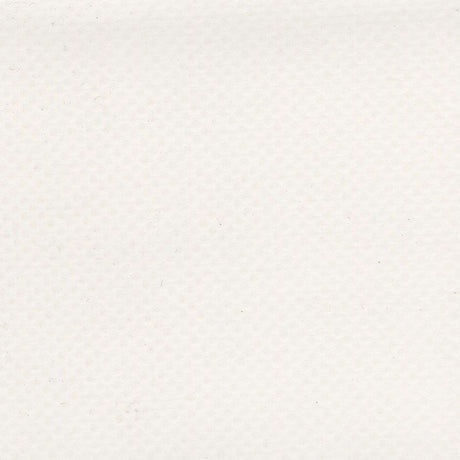 AbbeyShea Mercury 6 White 61-Inch Tarp and Awning Fabric