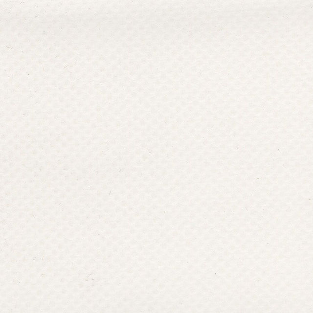 AbbeyShea Mercury 6 White 61-Inch Tarp and Awning Fabric