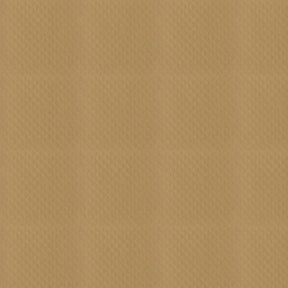 AbbeyShea Apollo 68 Beige Tarp Fabric