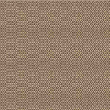Outdura Reflections Straw 9229 Ovation 3 Collection - Earthy Balance Upholstery Fabric