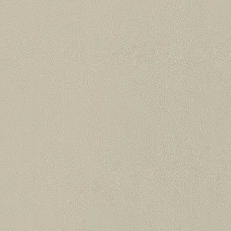 Sample of Softside Corinthian Soft 7691 V Lt Cashmere Automotive Upholstery Fabric