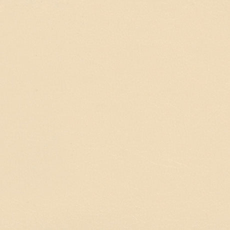 Sample of Softside Navigator 9894 Parchment Automotive / Marine Upholstery Fabric