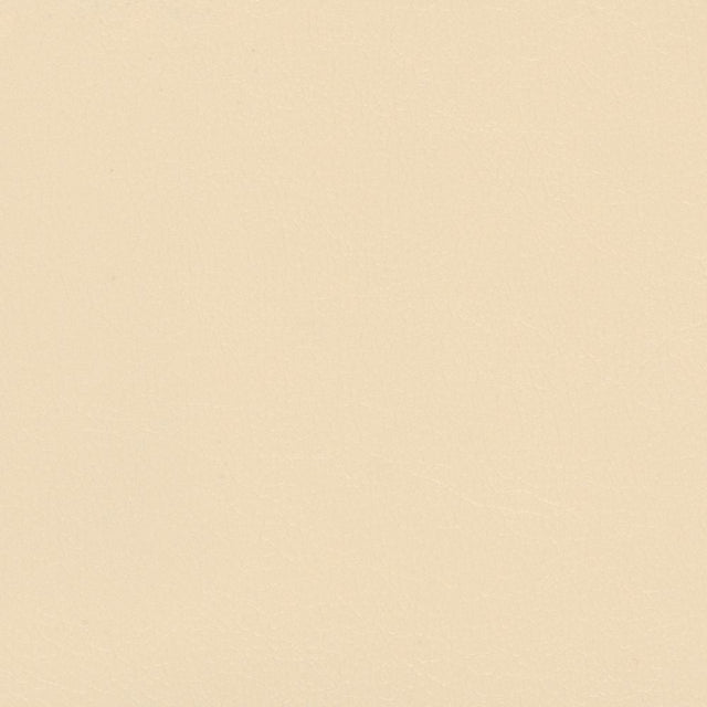 Sample of Softside Navigator 9894 Parchment Automotive / Marine Upholstery Fabric