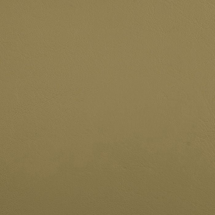 Sample of Softside Zander 3109 Dune Automotive / Marine Upholstery Fabric