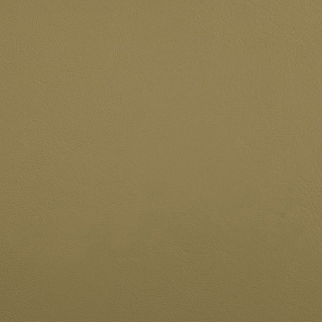 Sample of Softside Zander 3109 Dune Automotive / Marine Upholstery Fabric