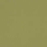 Sample of Sunbrella by Mayer Soleil Wasabi 416-013 Imagine Collection Upholstery Fabric