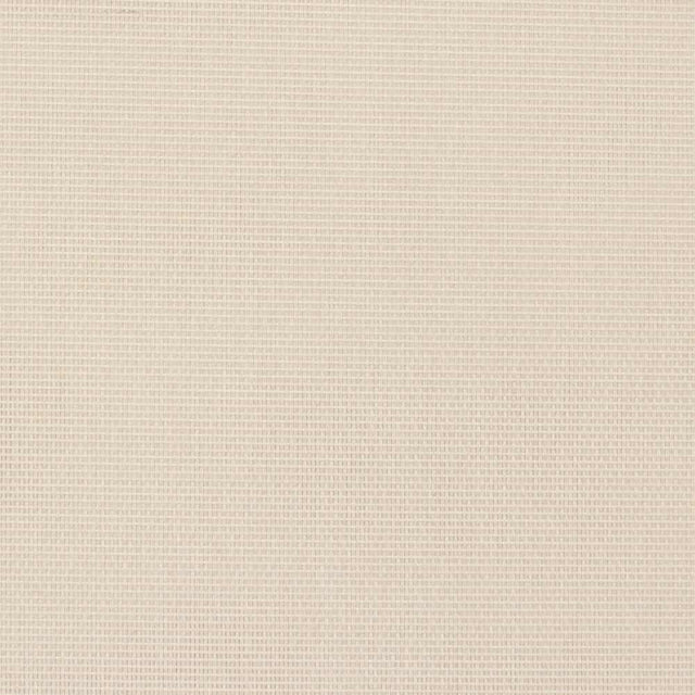 Sample of Textilene Sunsure Alabaster T91NCS013 54 inch Sling / Shade Fabric