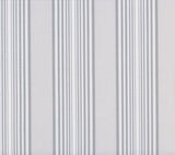 Phifertex Gradient Cabana Silver Mist 0LR Stripes 54-Inch Sling Fabric