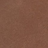 Sample of Softside Seabreeze Ginseng Brown 860 Upholstery Fabric