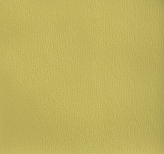 Olympus Oasis OLY360ADF Contract Automotive and Marine Upholstery Fabric