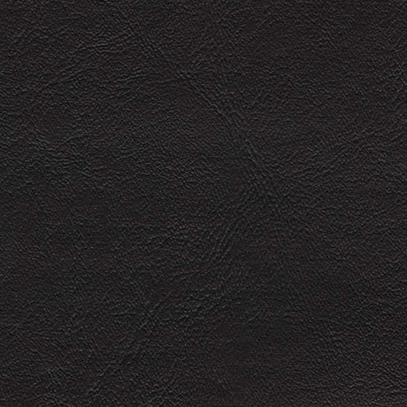AbbeyShea Midship 9009 Black Marine Upholstery Fabric