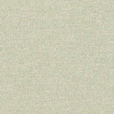 Sunbrella Palazzo Mint PAL J226 140 European Collection Upholstery Fabric