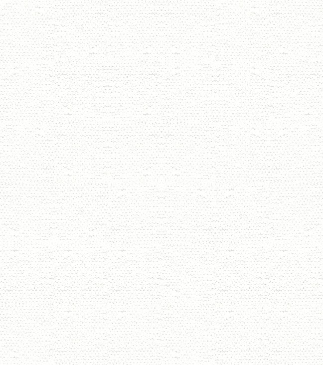 Sample of Top Notch TN568 White 60-Inch Marine Topping and Enclosure Fabric