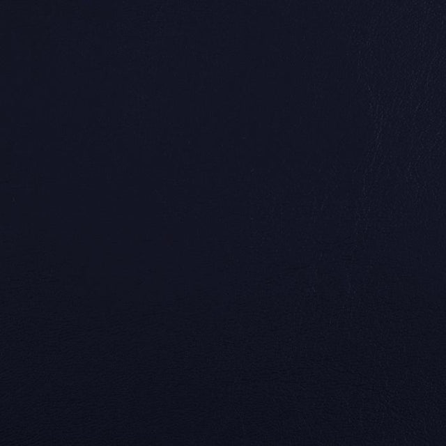 Sample of Softside Zander 3124 Celestial Automotive / Marine Upholstery Fabric