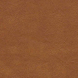 AbbeyShea Midship 84 Rust Marine Upholstery Fabric
