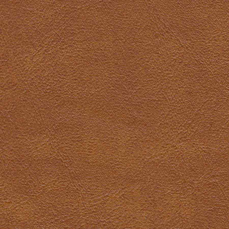 AbbeyShea Midship 84 Rust Marine Upholstery Fabric