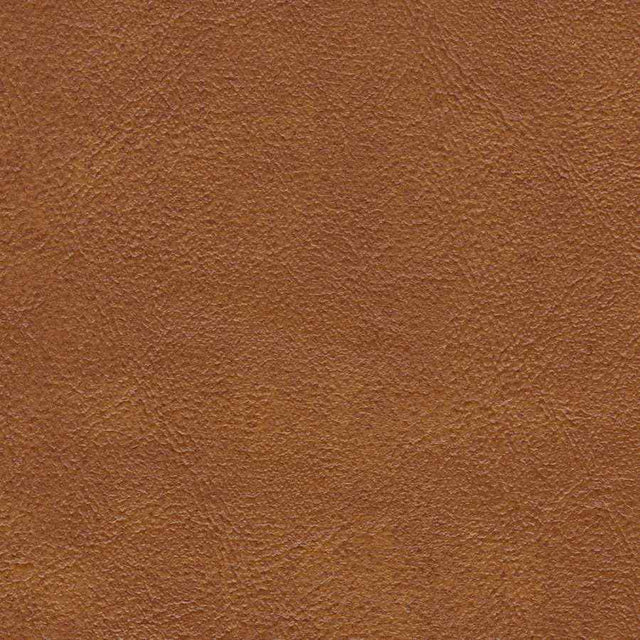 AbbeyShea Midship 84 Rust Marine Upholstery Fabric
