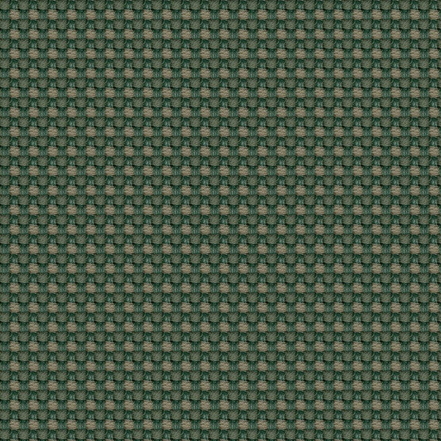 Aerotex Cactus AEROT2008 Automotive Upholstery Fabric