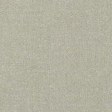 Sunbrella Abstraction Sage 370041-0008 Fusion Collection Upholstery Fabric