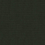 Sunbrella Cliff Fir CLI B131 140 European Collection Upholstery Fabric