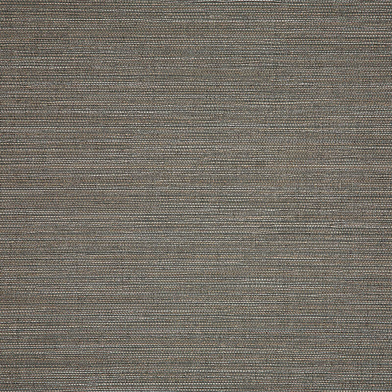 Sunbrella Collect Charcoal 3050505 Sling Fabric