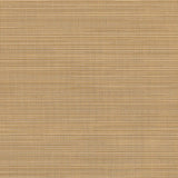 Sample of Sunbrella Destiny Sand 3050133 Sling Fabric